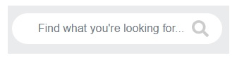 OWHSP site search bar
